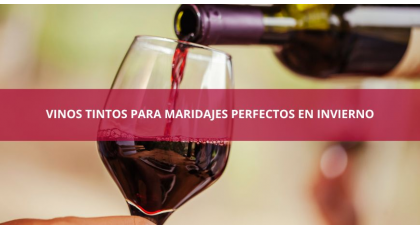 Vinos tintos para maridajes perfectos en invierno